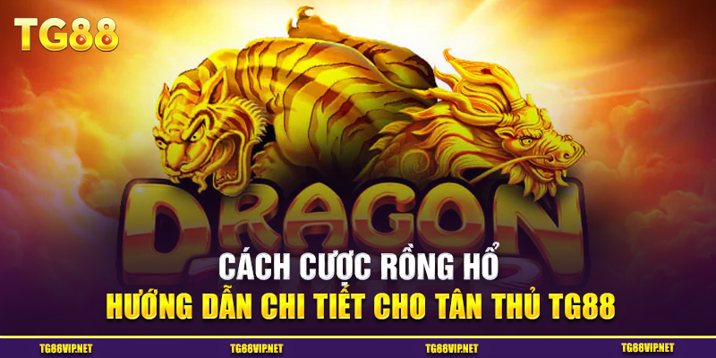 Cách Cược Rồng Hổ - Hướng Dẫn Chi Tiết Cho Tân Thủ TG88