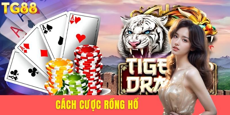 Cách cược Rồng Hổ